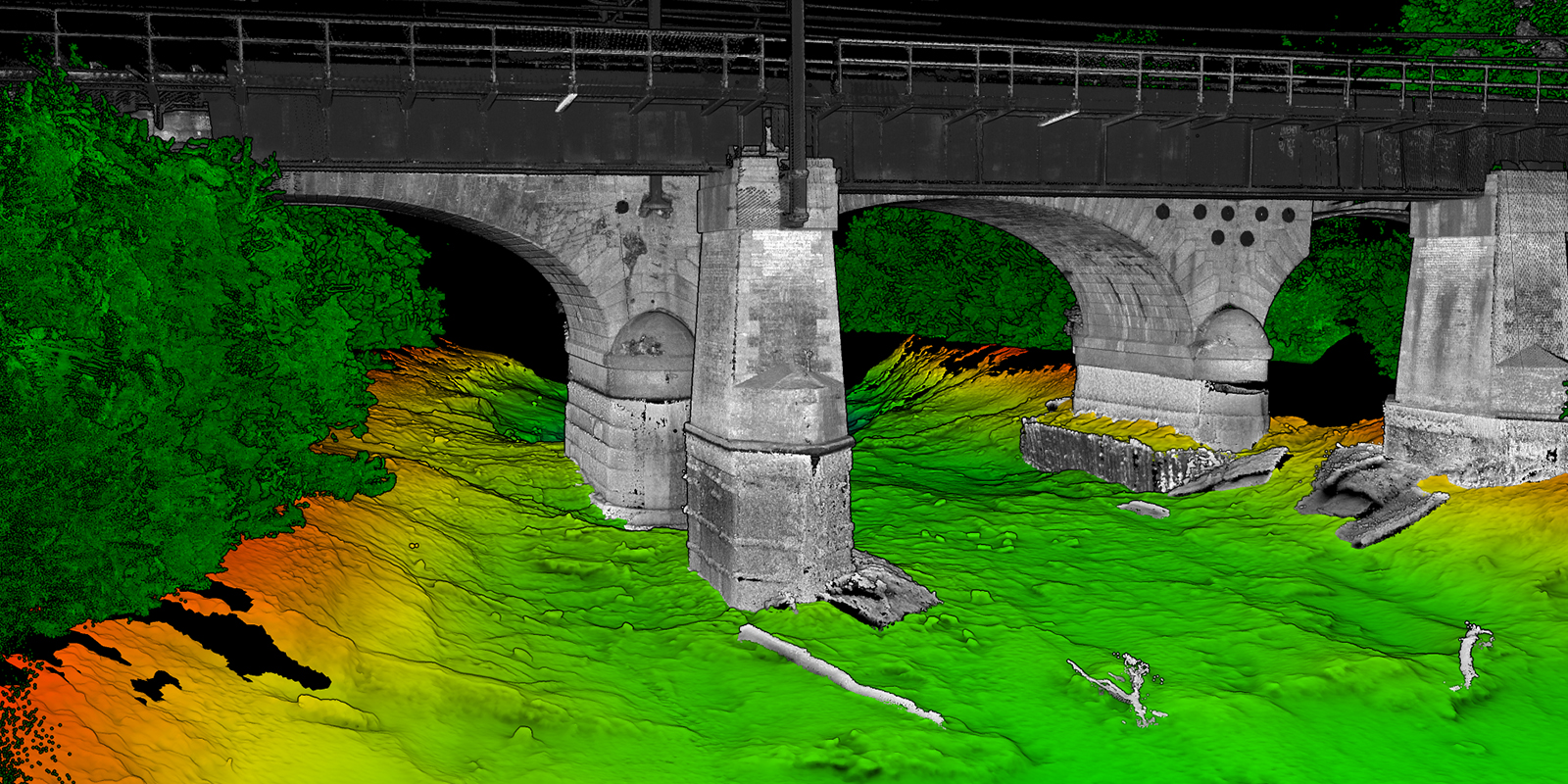 hi-res-asset-survey_0002_Skelton_4